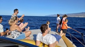 boat tour tenerife