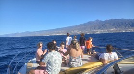 boat tour tenerife