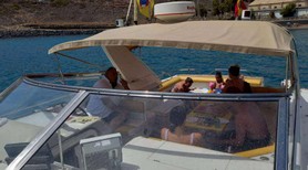 boat tour dolphin tenerife