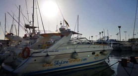 boat tour whale tenerife