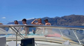boat tour whale tenerife